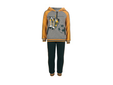 ��������_�.������