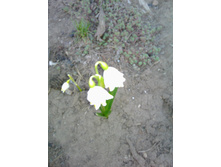 IMG 20180410 175808.jpg