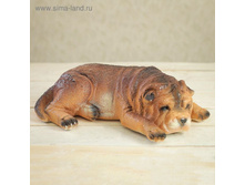 ������� ������ "������ ������"