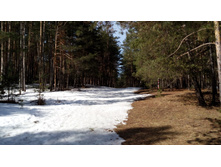 IMG 20180408 111726.jpg