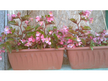 ������� �������������