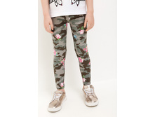 20220160154   Gemini   ����(������).jpg