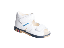 ���� ���� �������� 260-01