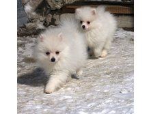 ������ �������� 009.JPG