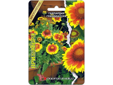 ��������� ����������� ���������. 20 ���.jpg