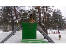 IMG 20180128 114828.jpg