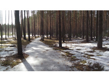 IMG 20180408 104912.jpg