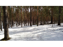 IMG 20180408 104741.jpg