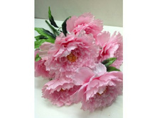 ������������� �����.