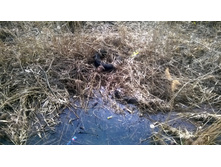 WP 20180425 13 28 00 Pro.jpg