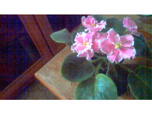 ������ ������� ��������(�������������)