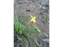 IMG 20180417 161135.jpg