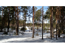 IMG 20180408 102653.jpg