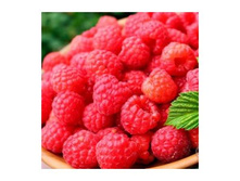 ������ ���������.jpg