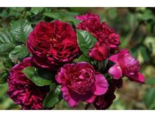 �������� ����� 180� 10��.jpg