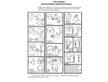 ���� ���������