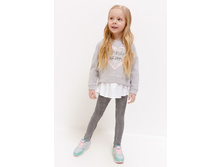 20220160154   Gemini   ������ preview.jpeg