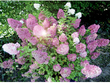 345,44 ���. ��������� ���������.������ ����� �1,5.jpg