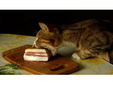 ������ ������ ������ ...