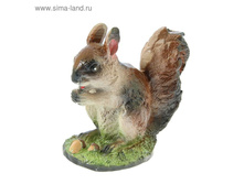 ������� ������ "����� �� �������"