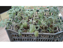 �������� � �����