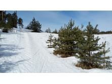 IMG 20180408 102939.jpg