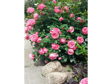 �������� �� ����� 180� 9��.jpg