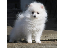 ������ �������� 012.JPG