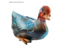 ������� ������ "����" �������