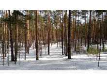 IMG 20180408 101251.jpg