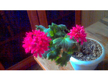 ���������� Lotta Lunberg