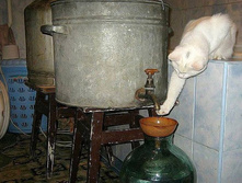 ��� ������� ���������