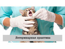 ������������ ��������