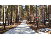 IMG 20180408 093813.jpg