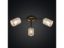 79������ ��������� 1-9170-3-FG+BR+GL E14.jpg