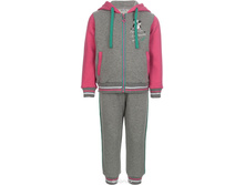 ���������� ������ �/���. "��***��" 1529�