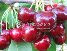 ������� "�����" � 4 627�