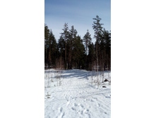 IMG 20180408 105739.jpg