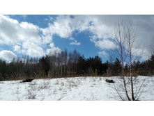 IMG 20180407 130225.jpg