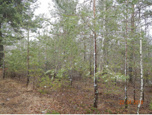 DSCN3855.JPG