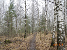 DSCN3858.JPG