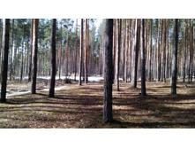 IMG 20180408 093454.jpg