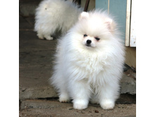 ������ ���� 021.JPG