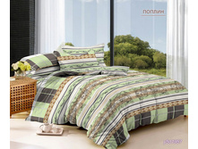 ���������� ����� �� ������� ���.RP-255.jpg