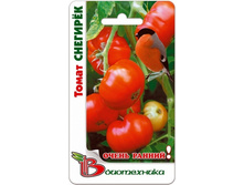 ����� �����ң�. 10 ���.jpg