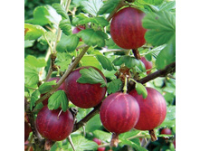 ��������� ������.jpg