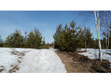 IMG 20180408 084143.jpg