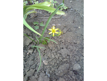 IMG 20180417 161120.jpg