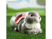 ������� ������ "������" �����