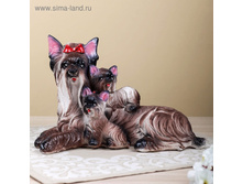 ������� ������ "������� �����", 21 � 31 ��, ����